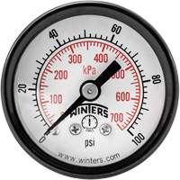 Economy Pressure Gauge, 1-1/2" , 0 - 100 psi, Back Mount, Analogue Toolneeds Inc.